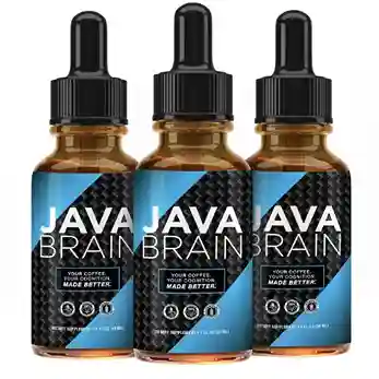 Java Brain